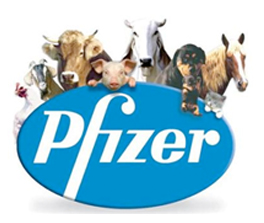 Pfizer