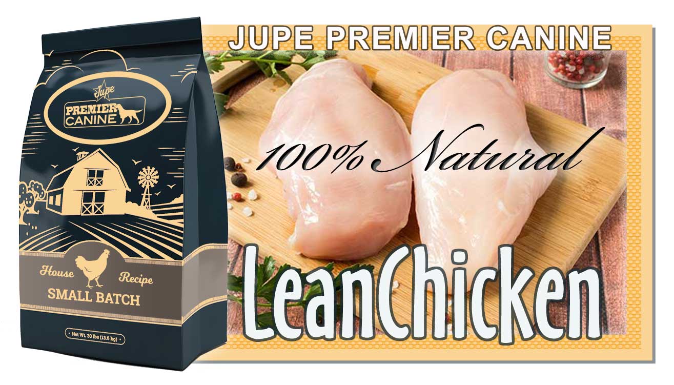 Jupe Premier Chicken Promo